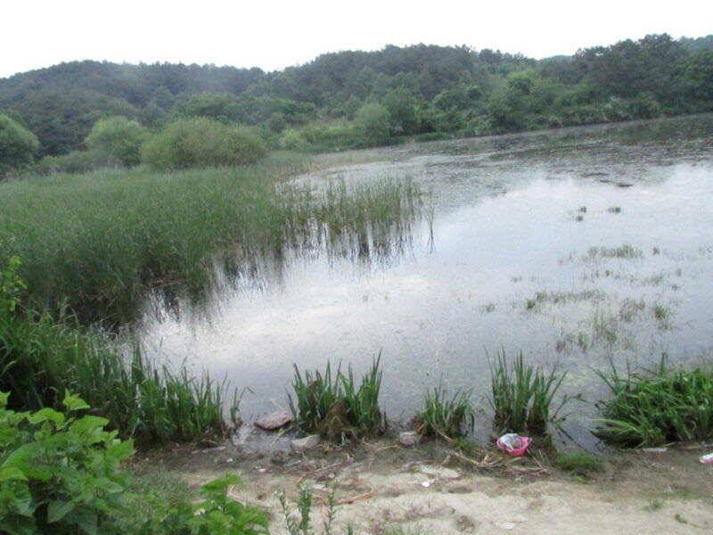 6월 첫주조황 입니다 (조황조행기 - 특파원조황)