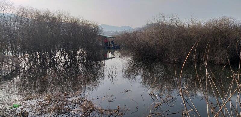 고삼지 노지 멋진 4짜 (조황조행기 - 특파원조황)