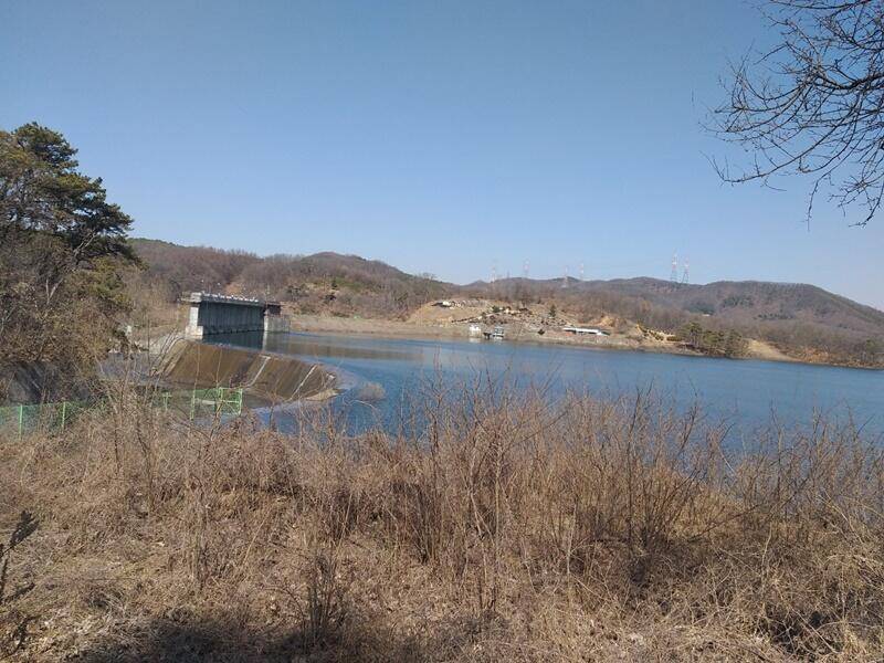 고삼지붕어들이 움직입니다 (조황조행기 - 특파원조황)