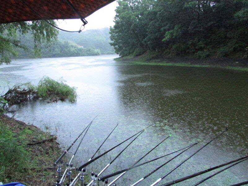6월 3째주 조황입니다 (조황조행기 - 특파원조황)