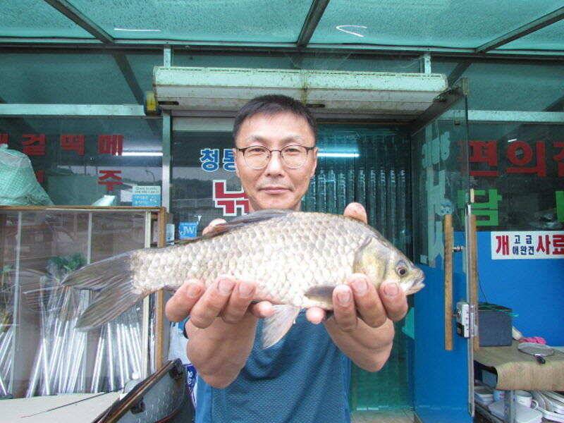 6월 4째주 조황입니다 (조황조행기 - 특파원조황)