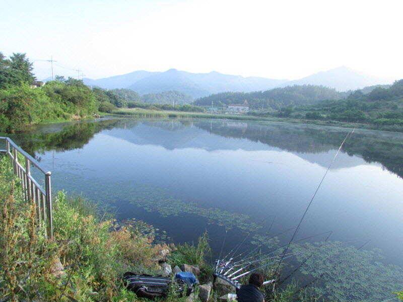6월 4째주 조황입니다 (조황조행기 - 특파원조황)