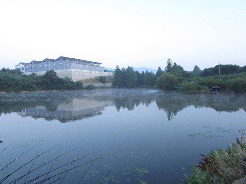 6월 4째주 조황입니다 (조황조행기 - 특파원조황)