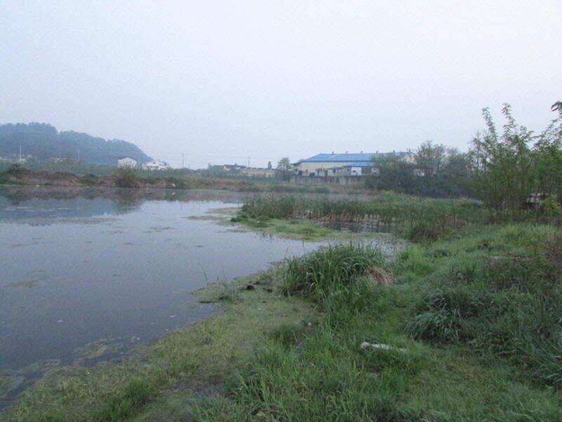 5월 2주차 조황 입니다 (조황조행기 - 특파원조황)