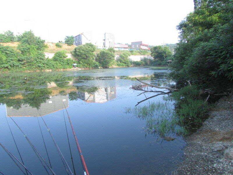 6월 4째주 조황입니다 (조황조행기 - 특파원조황)