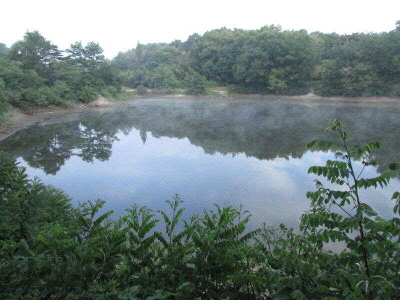 6월 2주차 조황 입니다 (조황조행기 - 특파원조황)