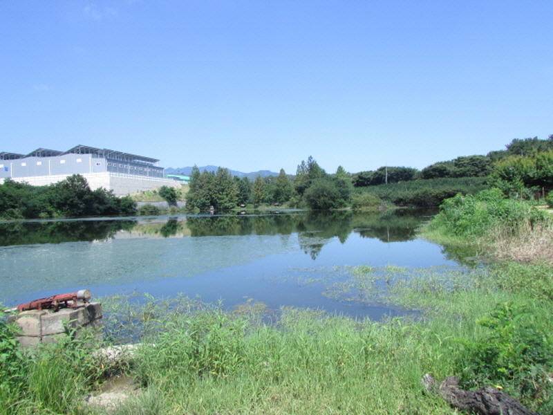 7월3째주 조황입니다 (조황조행기 - 특파원조황)