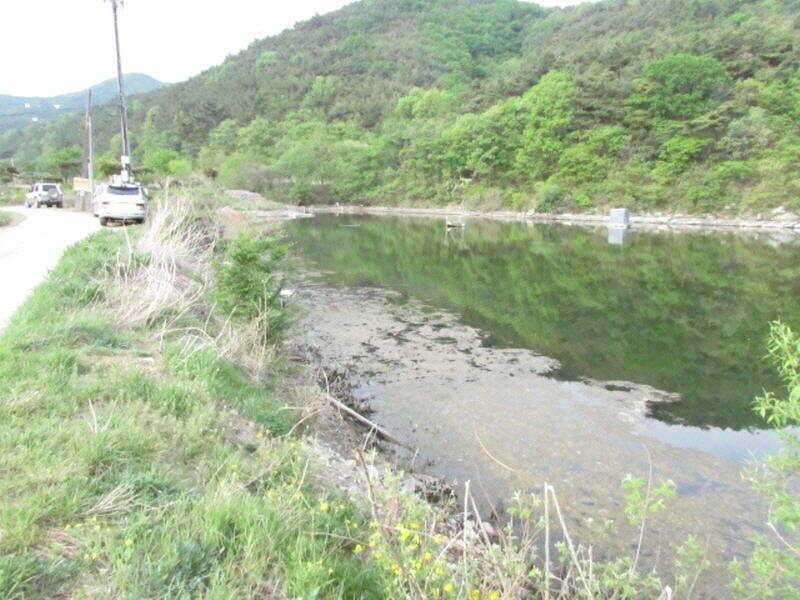 5월2주차 조황소식입니다 (조황조행기 - 특파원조황)