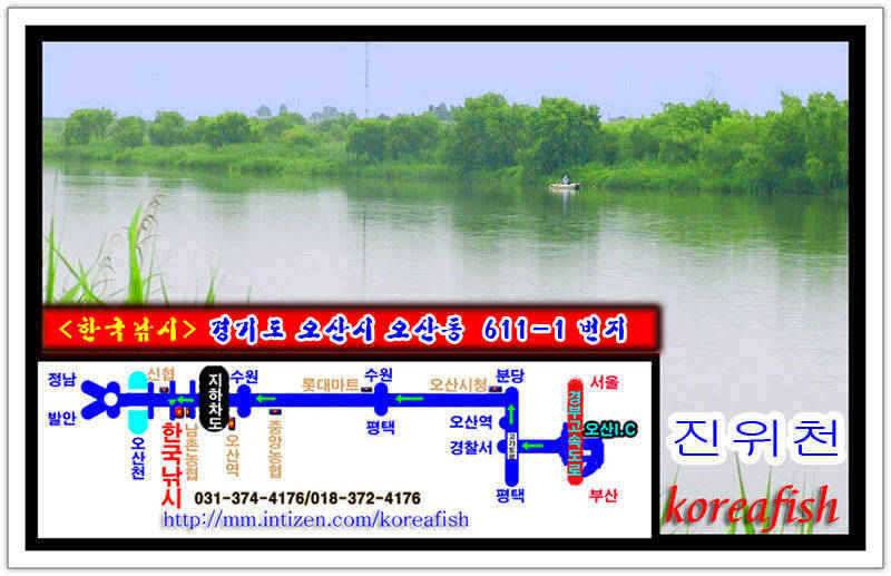 회화리보월척2수와 떡4자꾸준한 조황 (조황조행기 - 특파원조황)