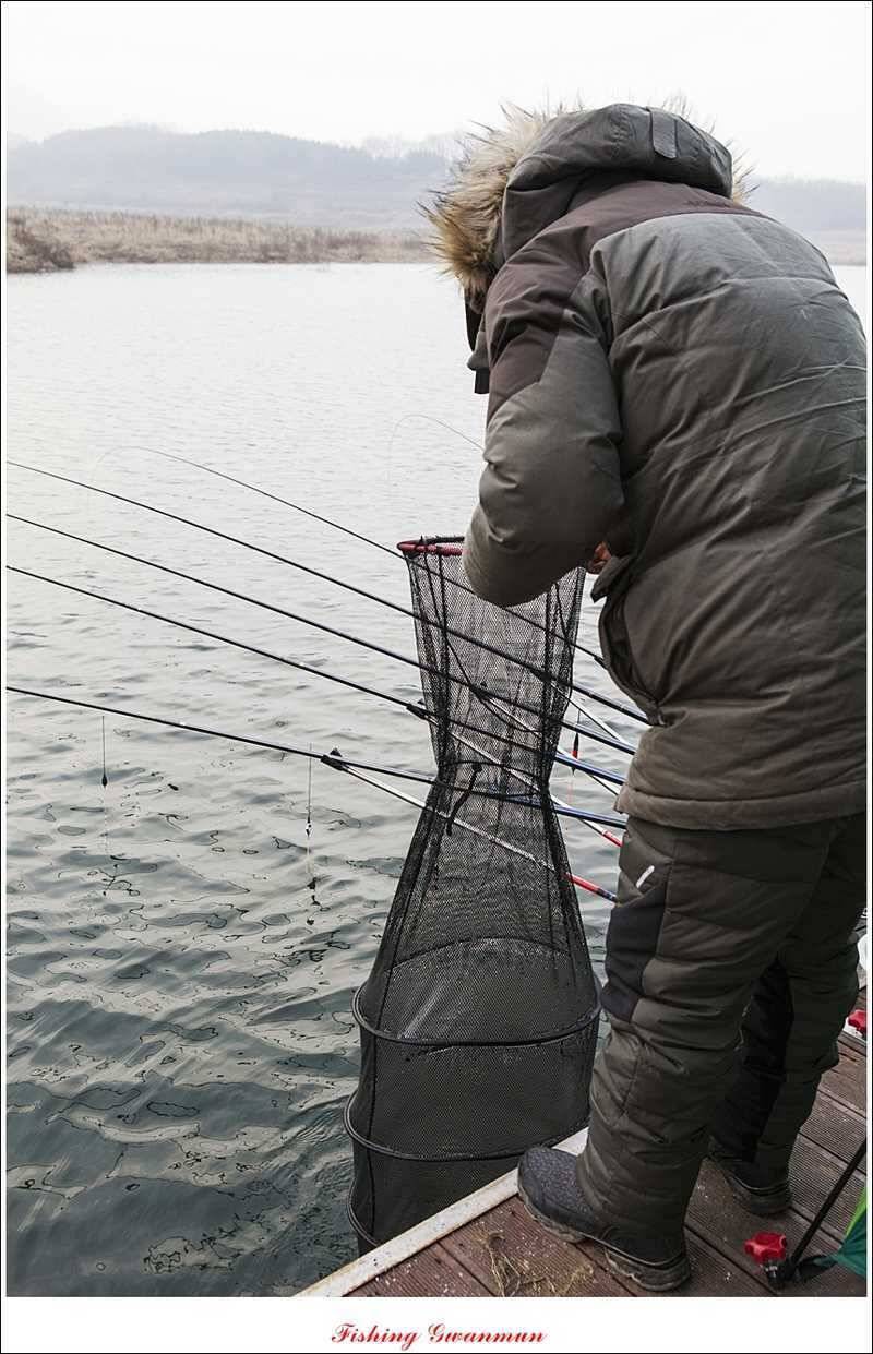 제일 낚시터 39 cm 대물 붕어 (조황조행기 - 특파원조황)