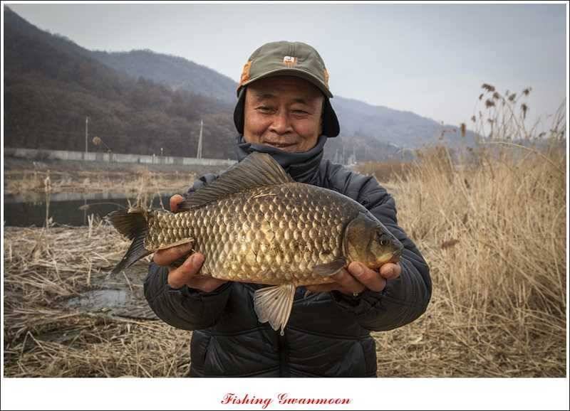 충주괴산권 조황 (조황조행기 - 특파원조황)