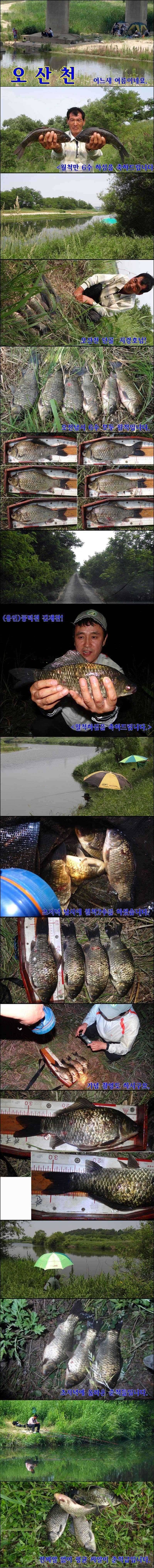 턱걸이4짜와 월척풍년오산권 수로낚시 (조황조행기 - 특파원조황)
