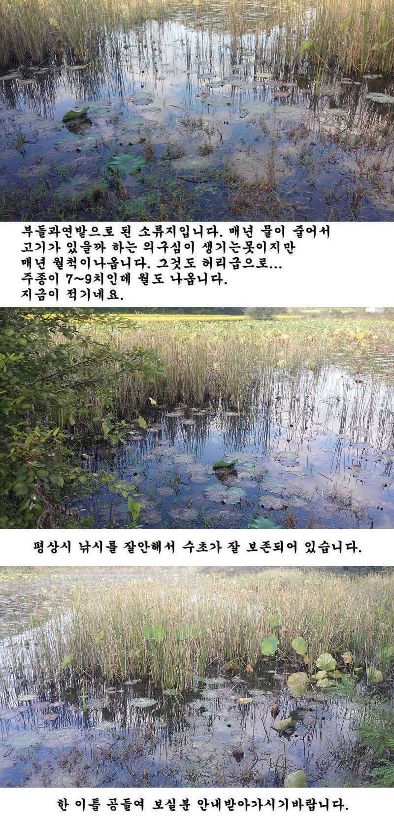 지난주 청도권 조황입니다 (조황조행기 - 특파원조황)