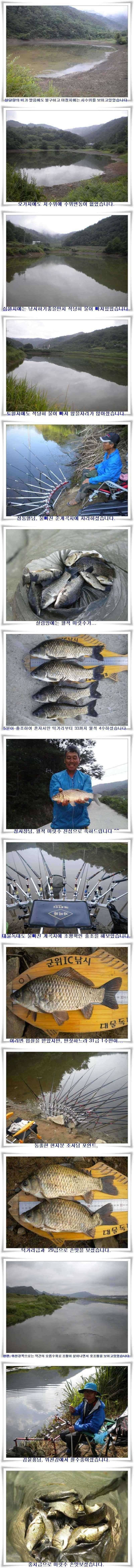 월척마릿수 준척마릿수조황 (조황조행기 - 특파원조황)