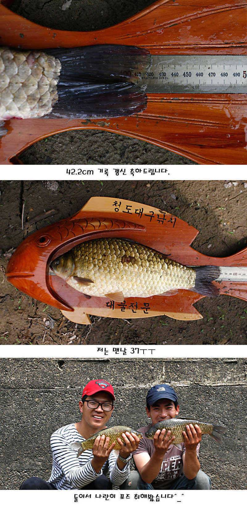 청도권 지난주 조황정보 (조황조행기 - 특파원조황)