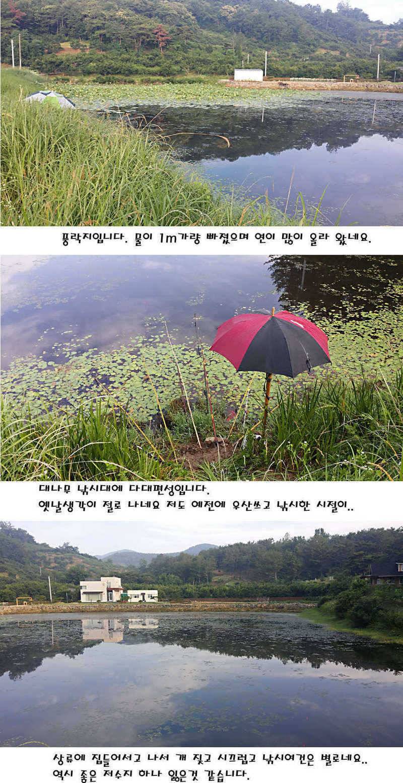 청도권 지난주 조황정보 (조황조행기 - 특파원조황)