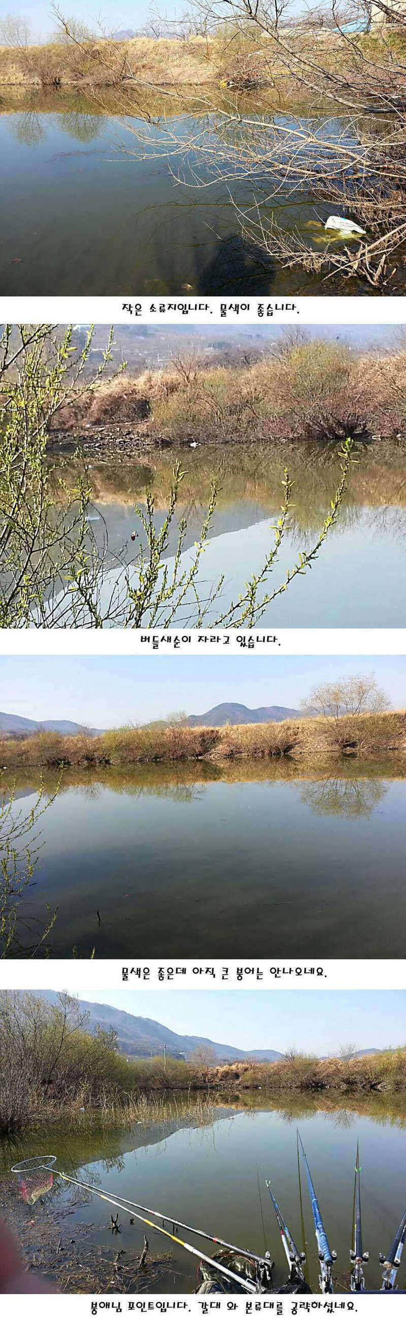 청도권 지난주 주중주말조황 (조황조행기 - 특파원조황)