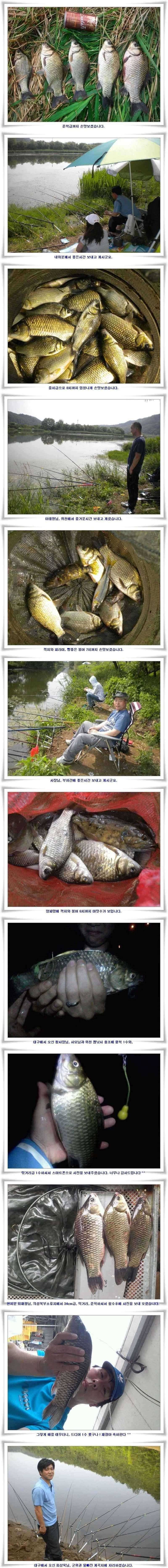 월척들과 마릿수조황들 (조황조행기 - 특파원조황)