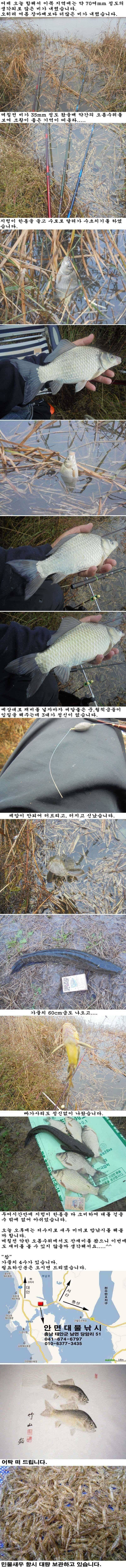 118 안면도권 수로 수초치기 조황 (조황조행기 - 특파원조황)