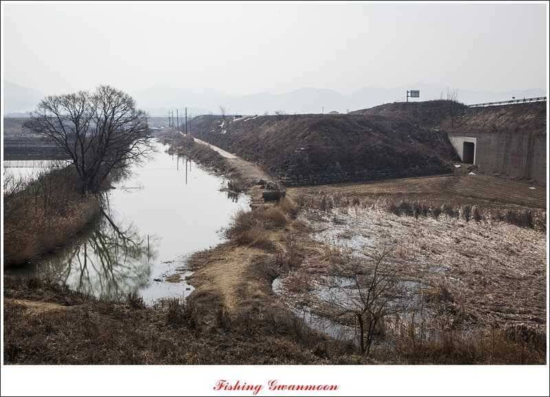 충주괴산권 조황 (조황조행기 - 특파원조황)