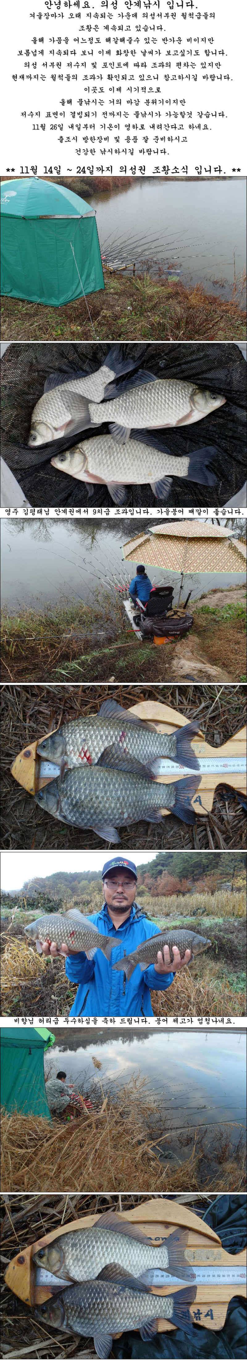 물낚시 시즌은 아직 끝나지 않았습니다 (조황조행기 - 특파원조황)