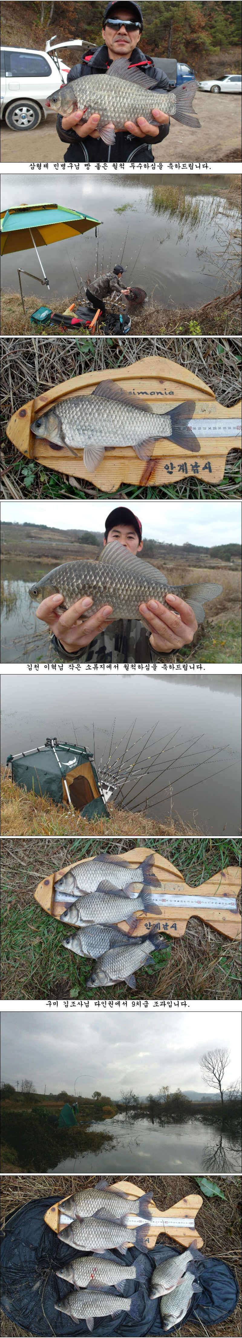 물낚시 시즌은 아직 끝나지 않았습니다 (조황조행기 - 특파원조황)