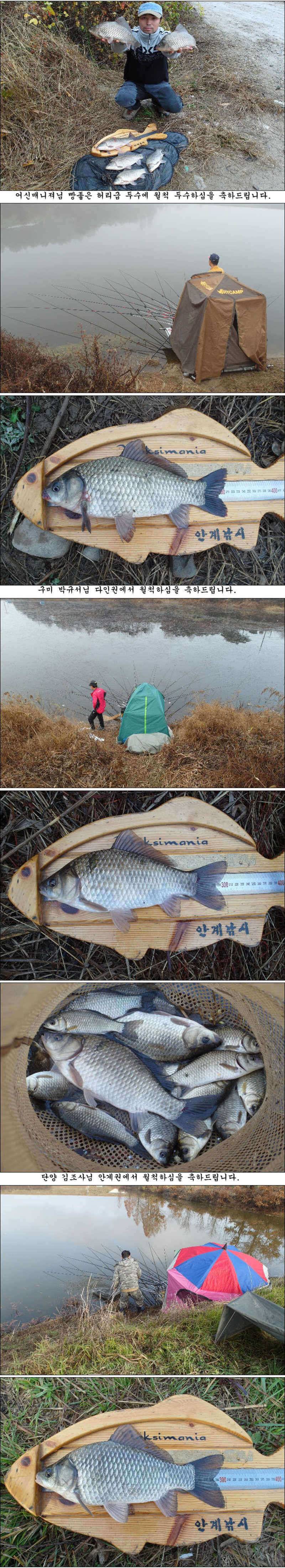 물낚시 시즌은 아직 끝나지 않았습니다 (조황조행기 - 특파원조황)