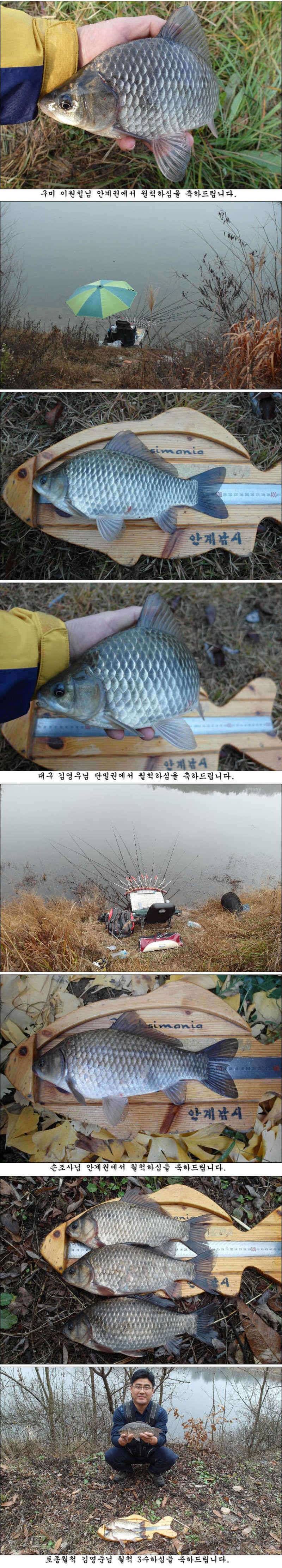 물낚시 시즌은 아직 끝나지 않았습니다 (조황조행기 - 특파원조황)