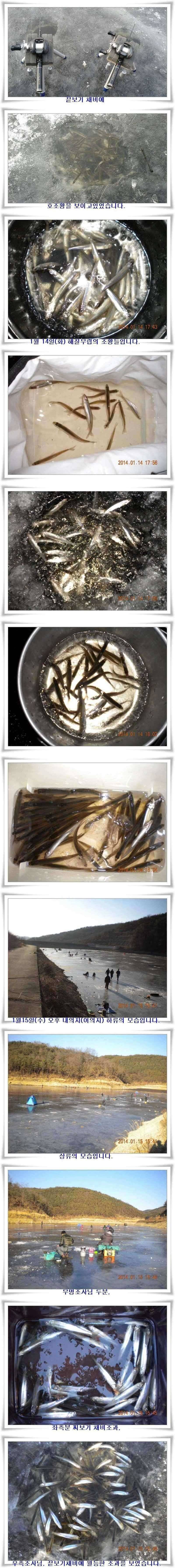 내의지 평일 호조황과 쓰레기수거 당부 (조황조행기 - 특파원조황)