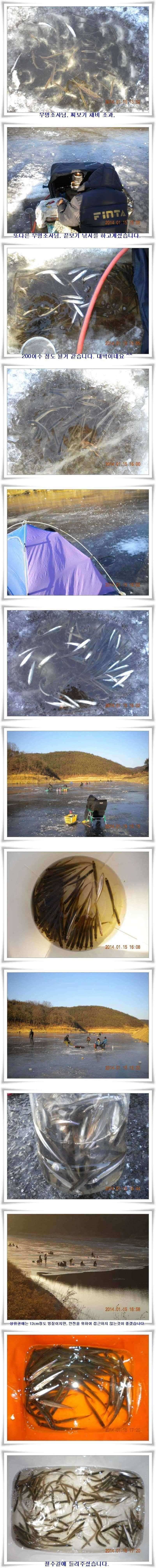 내의지 평일 호조황과 쓰레기수거 당부 (조황조행기 - 특파원조황)