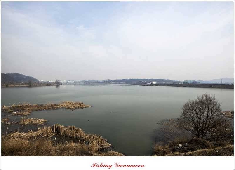충주괴산권 조황 (조황조행기 - 특파원조황)
