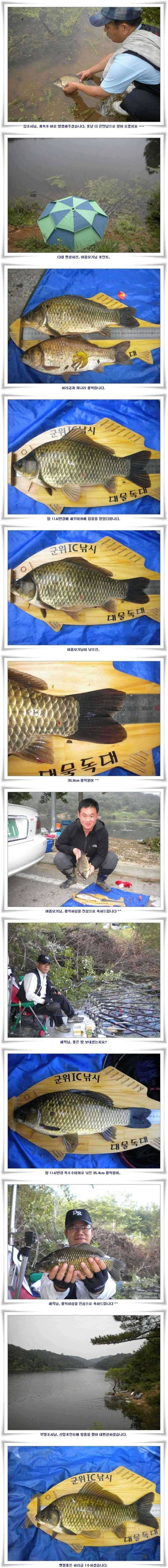 꾸준한 월척 조황 (조황조행기 - 특파원조황)
