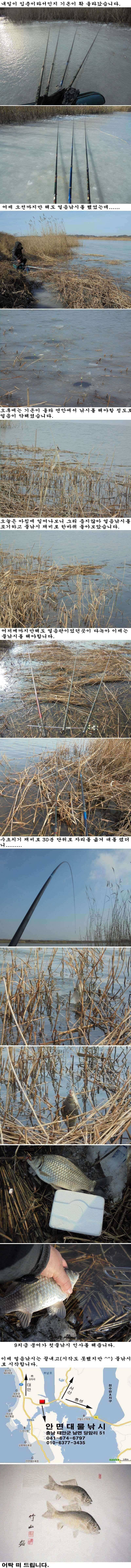 미친X 널 뛰듯한 날씨 (조황조행기 - 특파원조황)