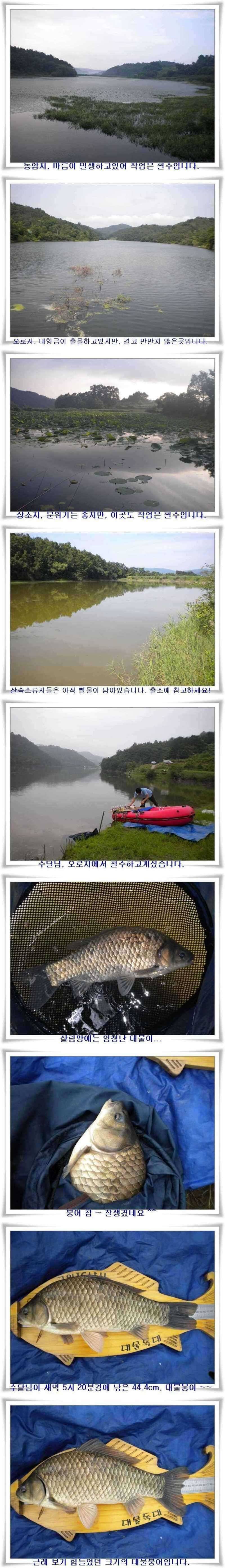 444cm 초대형급 출현 (조황조행기 - 특파원조황)