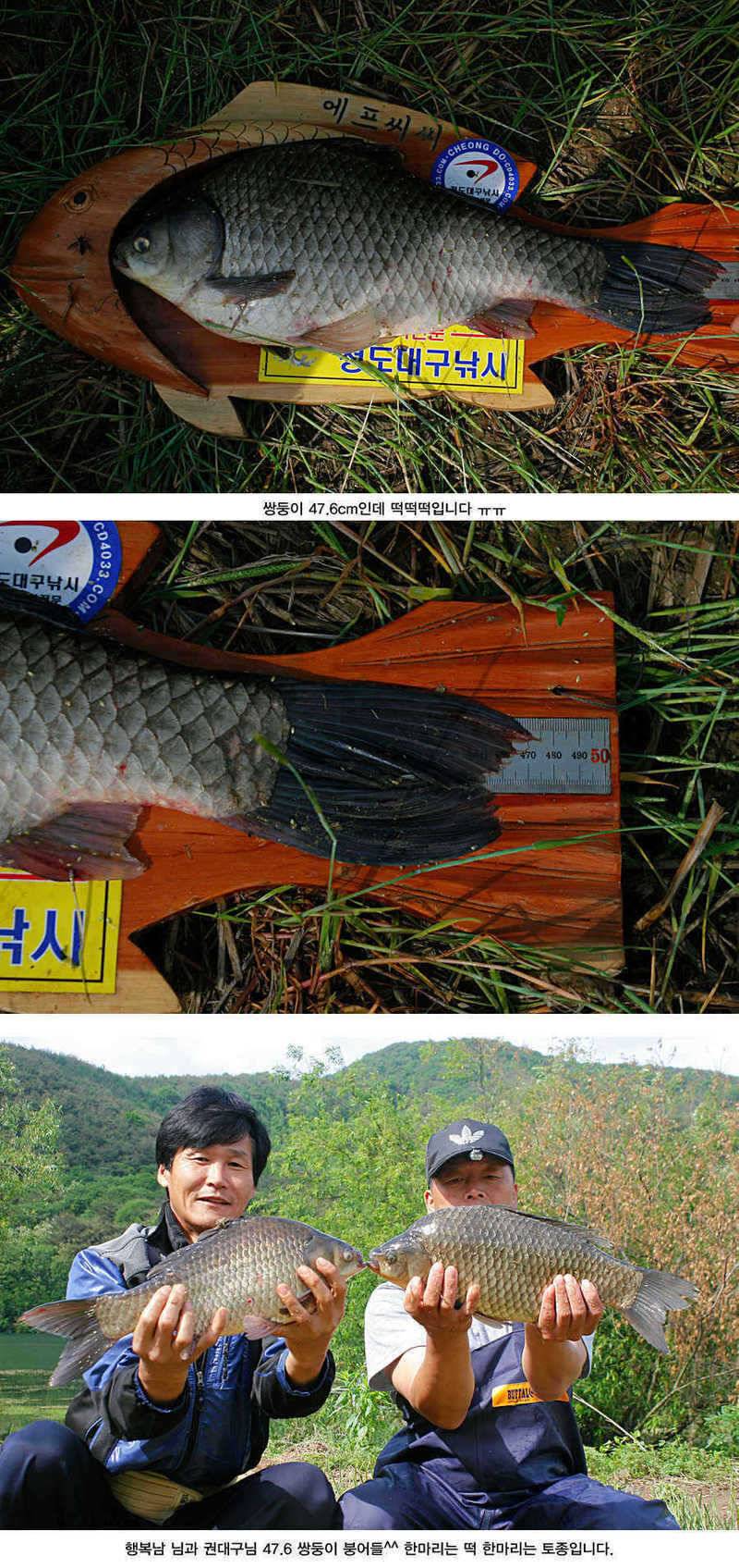 청도권 거대 핵잠수함 출현주말주중 (조황조행기 - 특파원조황)