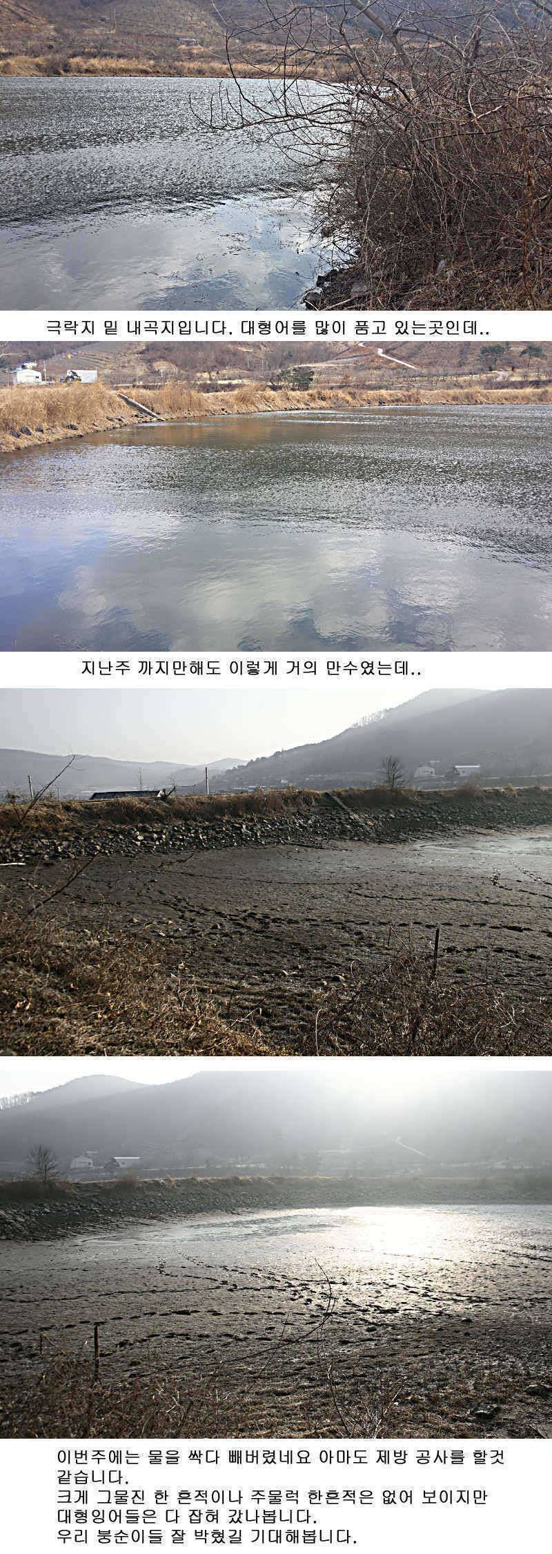 청도권 물낚시 정보 (조황조행기 - 특파원조황)
