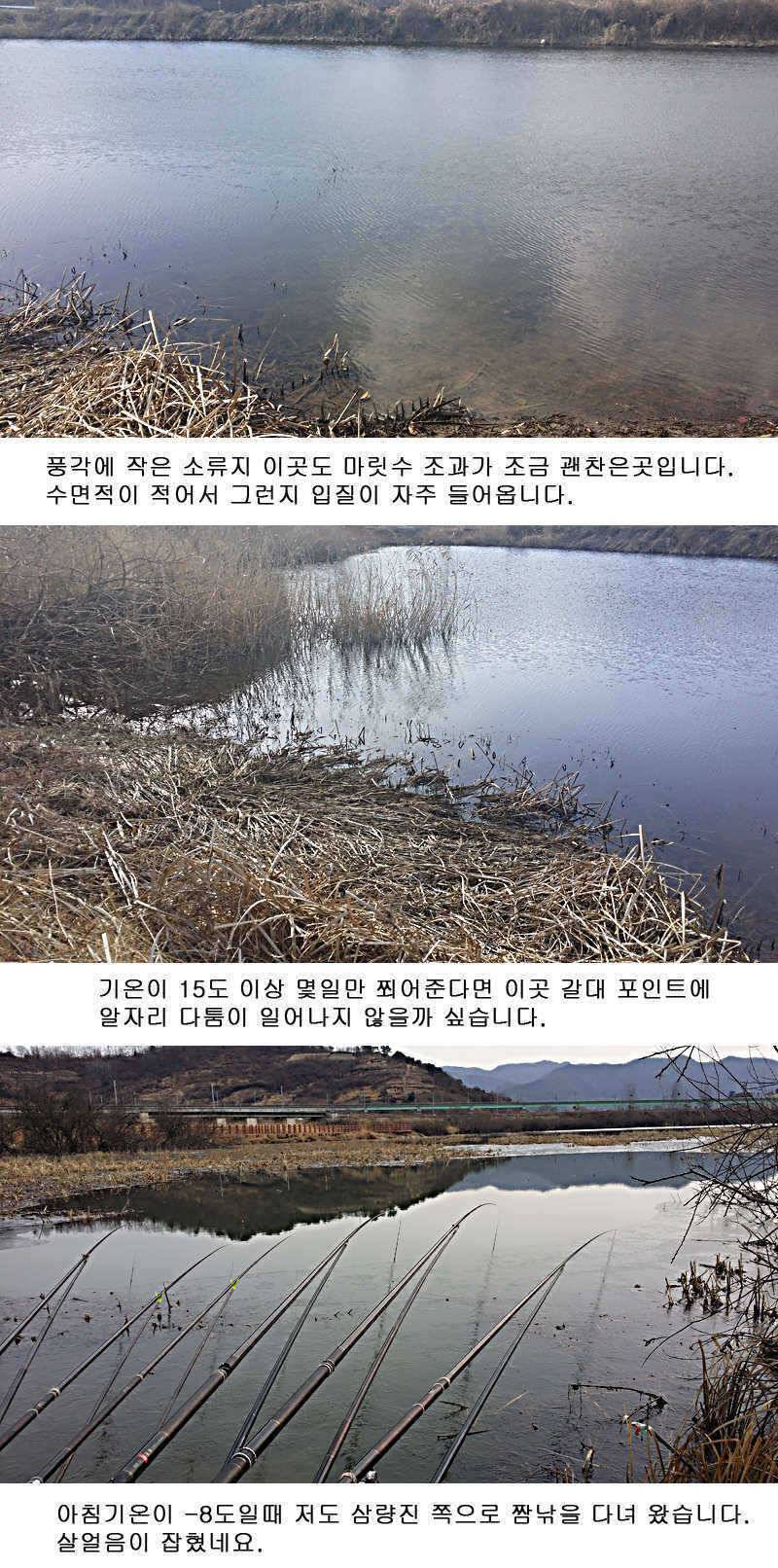 청도권 물낚시 정보 (조황조행기 - 특파원조황)