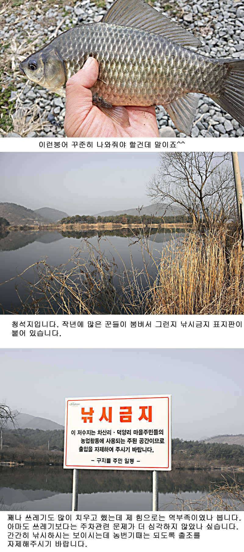 청도권 물낚시 정보 (조황조행기 - 특파원조황)