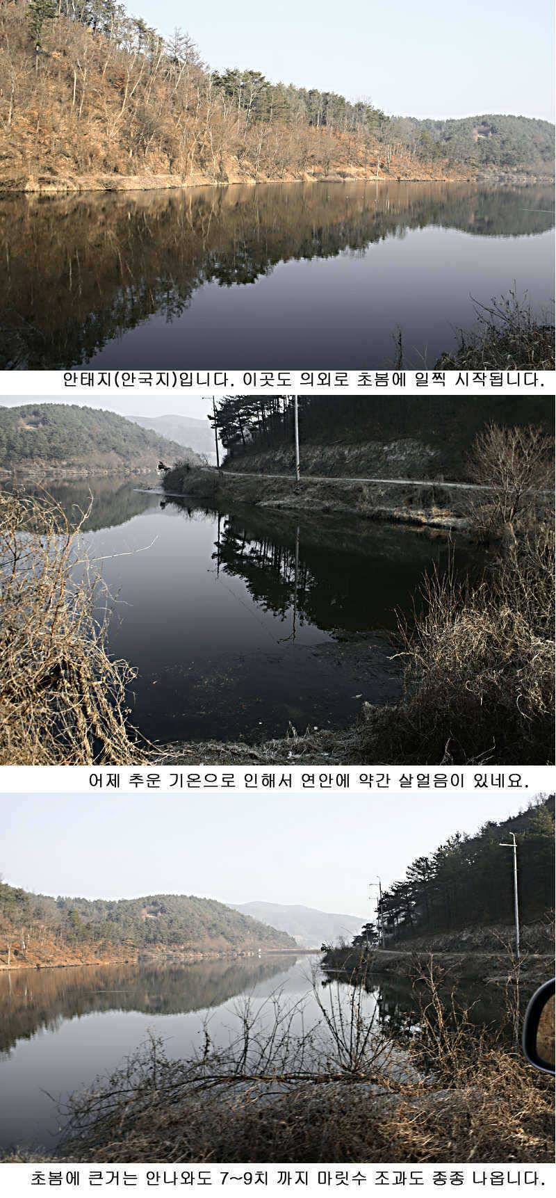 청도권 물낚시 정보 (조황조행기 - 특파원조황)
