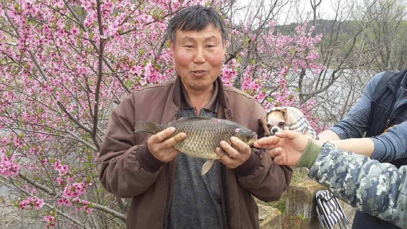 4월3째주 조황입니다 (조황조행기 - 특파원조황)
