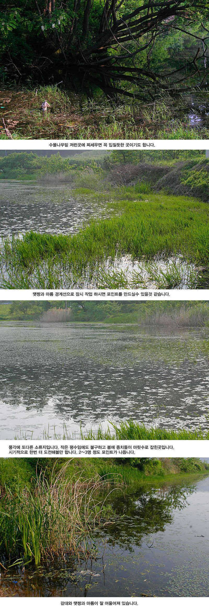 청도권 거대 핵잠수함 출현주말주중 (조황조행기 - 특파원조황)