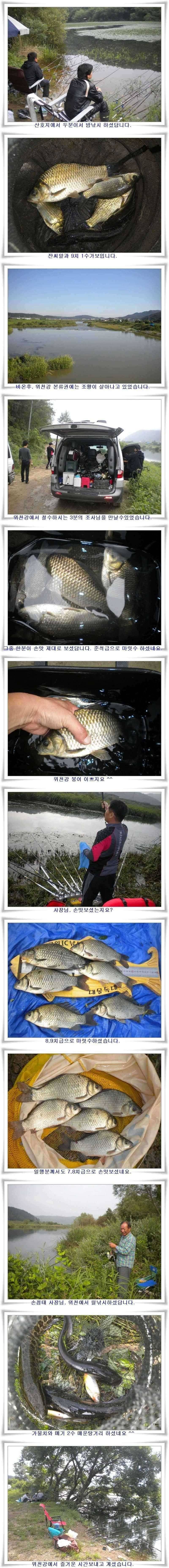 월준척마릿수조황 (조황조행기 - 특파원조황)