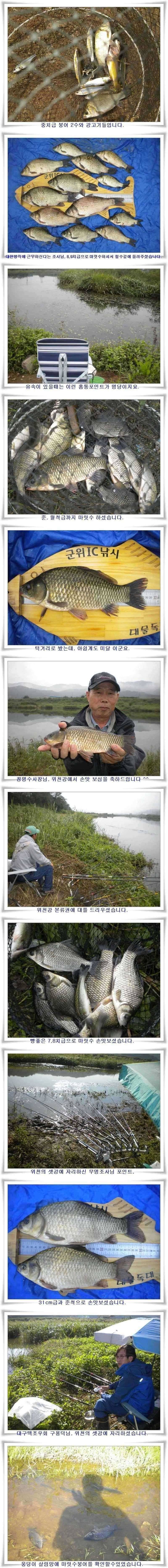 월준척마릿수조황 (조황조행기 - 특파원조황)