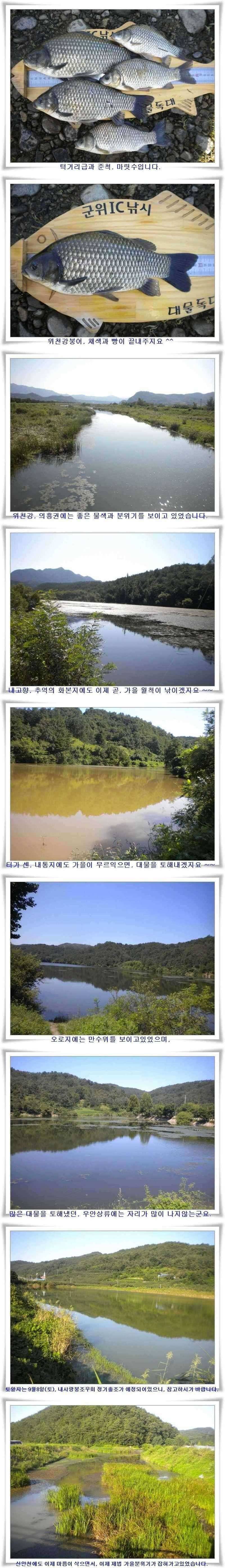 월준척마릿수조황 (조황조행기 - 특파원조황)
