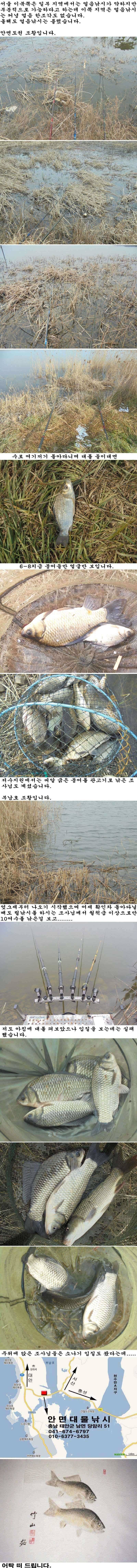 110 안면도권 저수지 및 수로 부남호 주말 조황 (조황조행기 - 특파원조황)