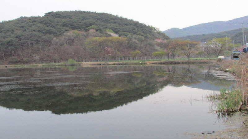 4월3째주 조황입니다 (조황조행기 - 특파원조황)