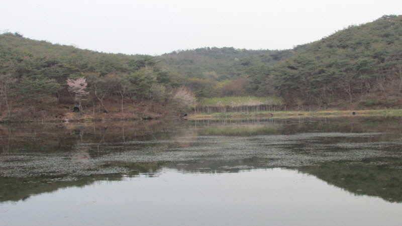 4월3째주 조황입니다 (조황조행기 - 특파원조황)