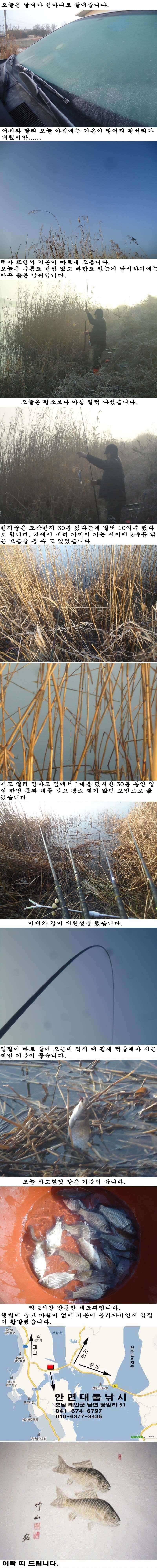 13 부남호 수초치기 조황 (조황조행기 - 특파원조황)