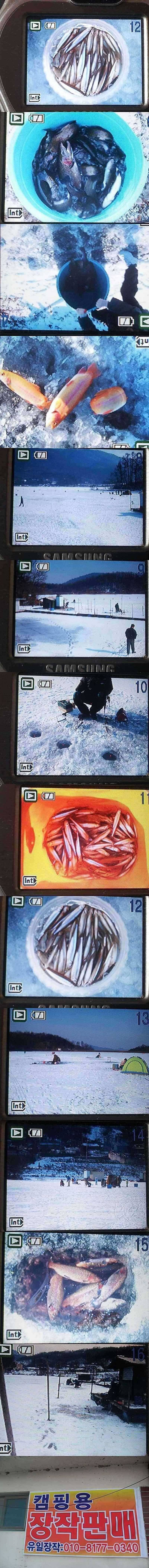 두창지 빙어와 송어 (조황조행기 - 특파원조황)