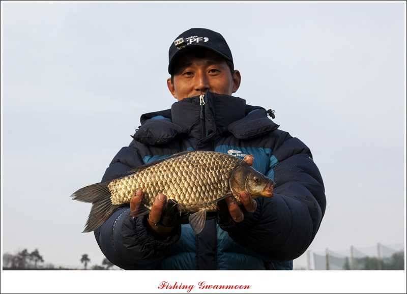 충주권 노지화곡지칠성지 조황 (조황조행기 - 특파원조황)